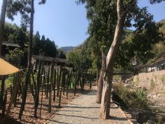 -MOJ coffee(瓯海泽雅水碓坑店)