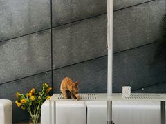 -UNIUNI(凯瑟琳广场店)