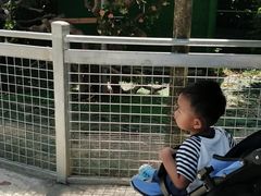 -长廊欢乐园