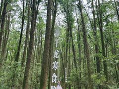 -同里国家湿地公园
