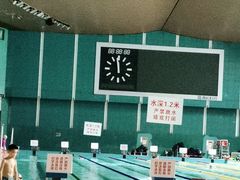 -重庆市奥林匹克体育中心-游泳跳水馆
