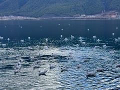 -丽江泸沽湖景区