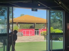 -爪吧宠物乐园 (温榆河示范区店)