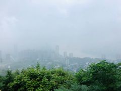 -南山植物园