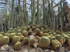 -南山植物园