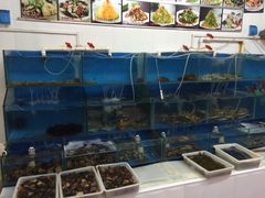 鸿运美食府-鸿运美食府