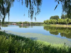 -稻香湖景欢乐岛温泉城堡