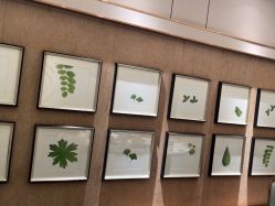 -稻香酒家-宴会厅·BB宴·年会·喜宴(天河领展店)