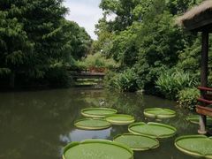 -上海滨江森林公园
