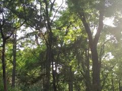 -碓臼峪自然风景区