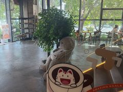-了不起的考拉咖啡店(高新店)