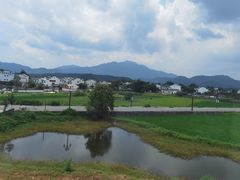 -黄牛肉馆·皖南土菜