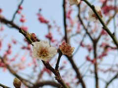 -白塘生态植物园
