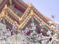 -东华门大街小区