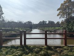 -上海海湾国家森林公园