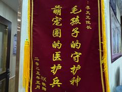 -宠爱国际动物医院·消化内科·心肾内科·ISFM猫友好(望京店)
