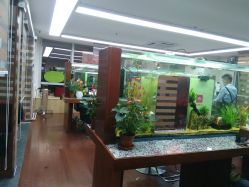 android_upload_pic-小左美发