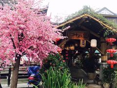 -二十八里太湖船菜(吉祥路店)
