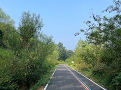-南京老山国家森林公园