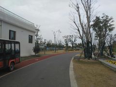 -上海长兴岛郊野公园