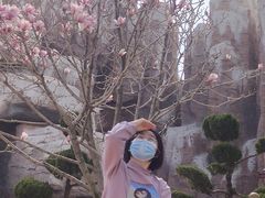 -蓬莱欧乐堡梦幻世界