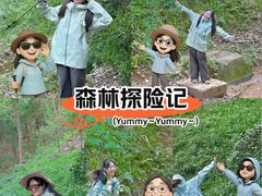 -杭州半山国家森林公园