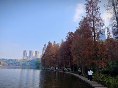 -重庆彩云湖湿地公园