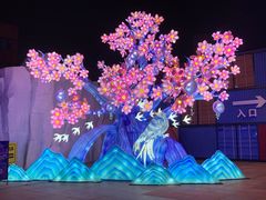 -海合安武汉极地海洋公园