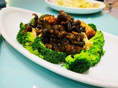 海参-添福来墨鱼饺子 · 海鲜东北菜(大连星海·黄浦路店)