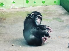 -北京野生动物园