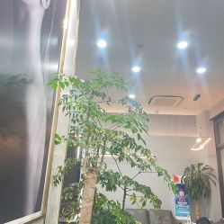 -韩国丽安形象设计