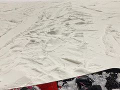 -哈尔滨热雪奇迹