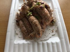 -海中洲渔社