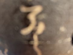 -杭州君悦酒店