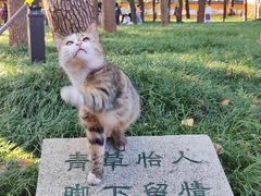 -陆家嘴金融服务广场2期