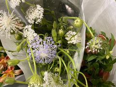 -循礼门鲜花花市(武汉循礼门店)