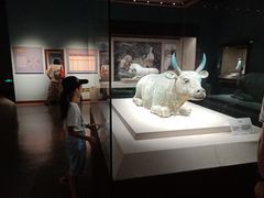 -宁夏博物馆