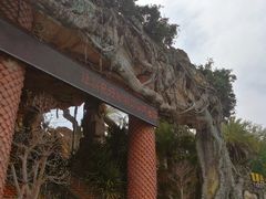 -贵安欢乐世界