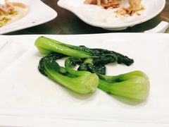 -梅龙镇酒家(南京西路总店)