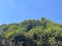 -济南国际园博园