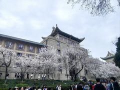 -武汉大学-樱园