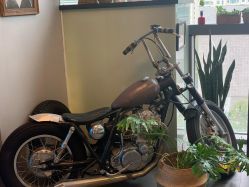 -極致刺青TATTOO STUDIO 私人订制