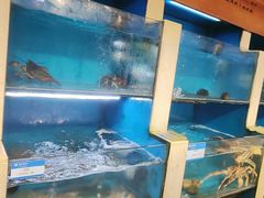 -鹰龙海畔度假酒店(咸祥店)
