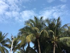 -深圳湾公园(南山区)