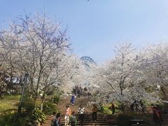 -南山植物园