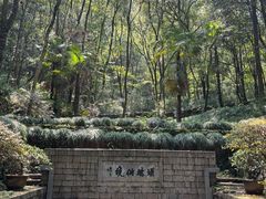 -瑶琳仙境