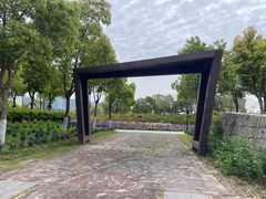 -春花秋色城市公园