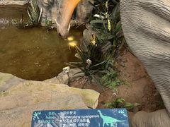 -中国西峡恐龙遗迹园