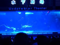 -泉城欧乐堡海洋极地世界