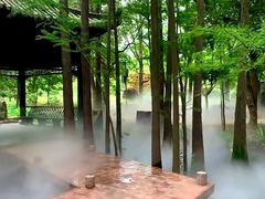 -东湖落雁景区